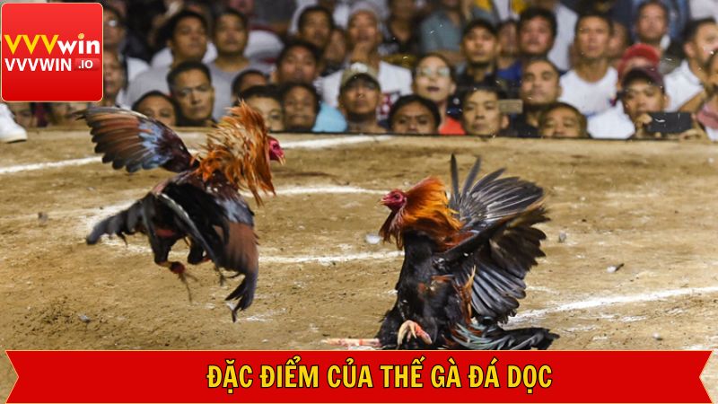 Những đặc điểm nhận dạng dành cho hội viên