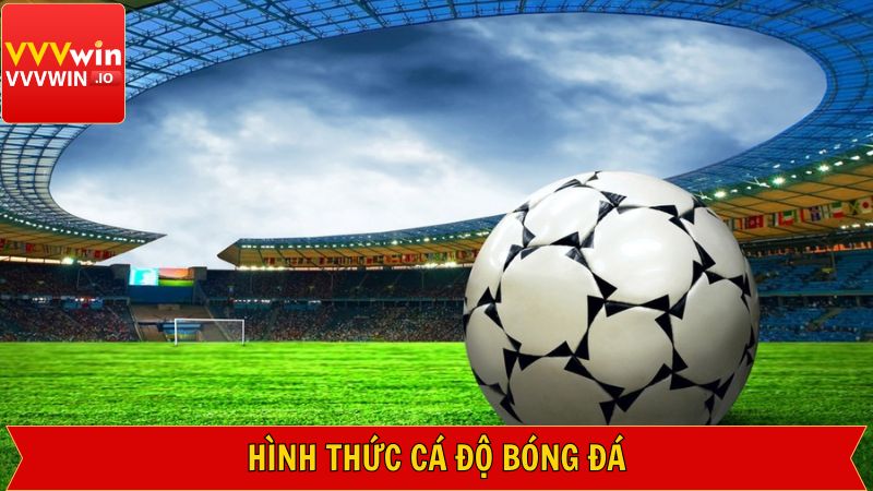 Các loại cược phổ biến trong cá độ bóng đá