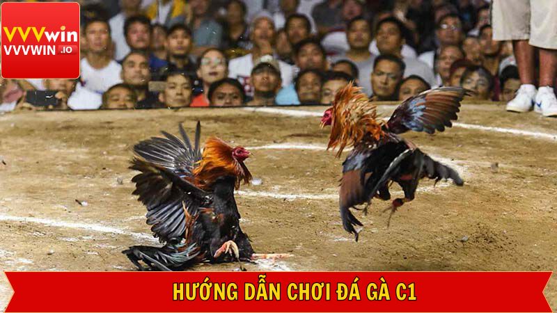 Khám phá cách thức cùng các quy định từ hệ thống