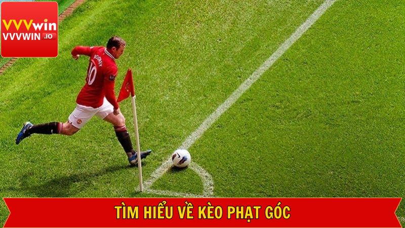 Đôi nét về hình thức cá cược kịch tính tại Vvvwin