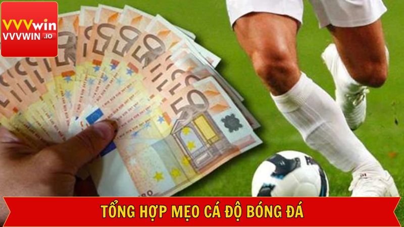 Phương pháp cá độ bóng đá có tỷ lệ thành công cao