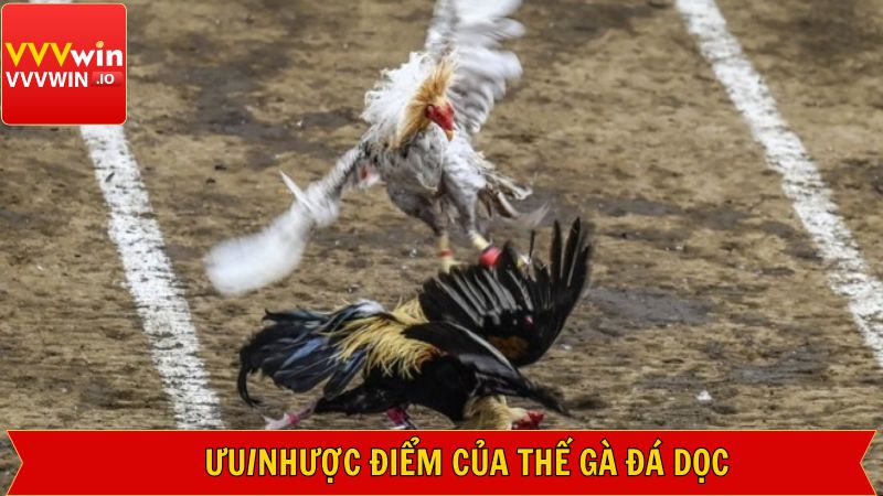 Điểm mạnh và hạn chế của thế gà đá dọc